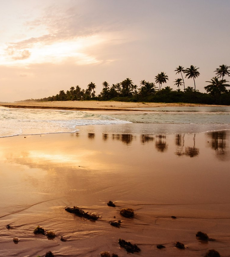 分公司注冊,龍崗個體戶注冊公司,營業(yè)執(zhí)照變更地址,電商執(zhí)照變更地址，明天好財稅